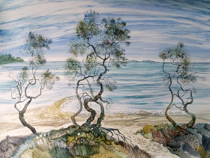 Танцующее березки. Соловки