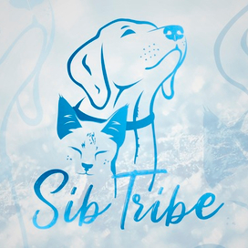 Sib Tribe Logo