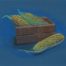 Кукурузные початки