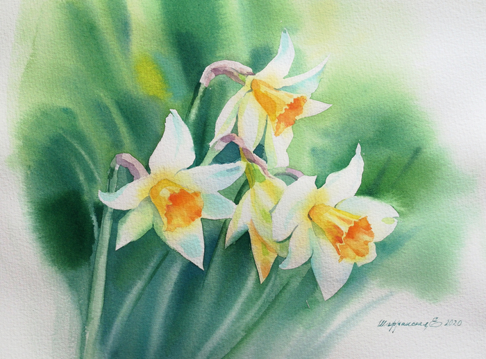 "Нарциссы" 