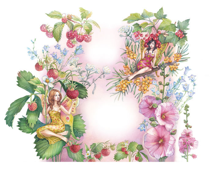 Иллюстрация для упаковки серии косметической продукции