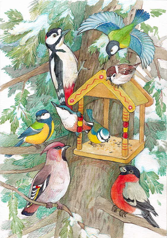 Птичья елка