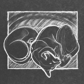 Свернулись