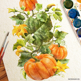 Иллюстрация с тыквой.