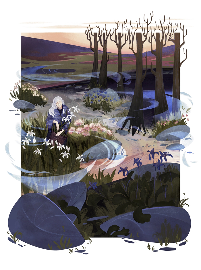 Illustration for Howl's Moving Castle novel | 3