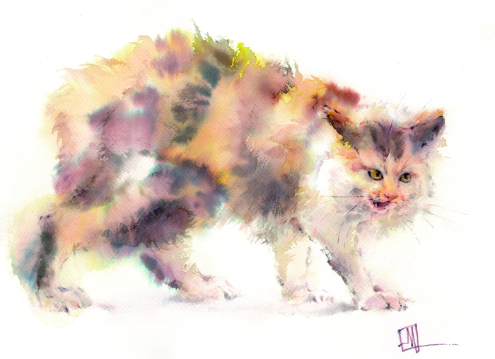 Сердитый кот