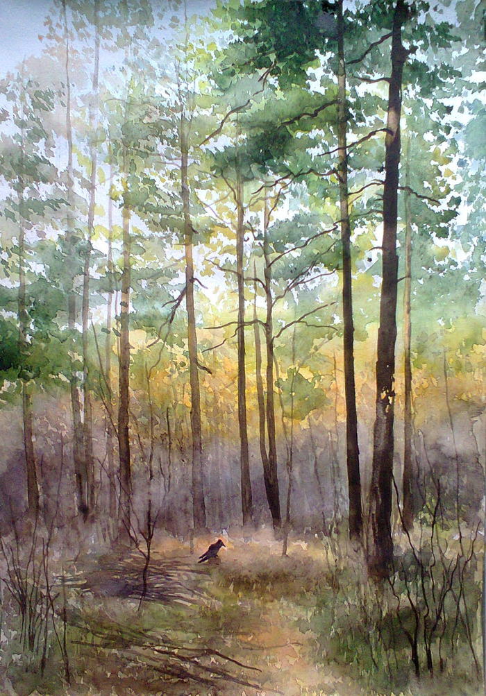 Осень в лесу