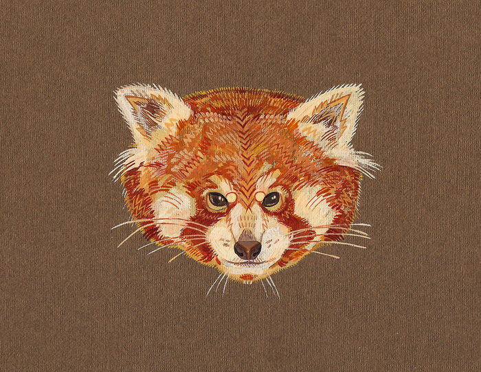 красная панда