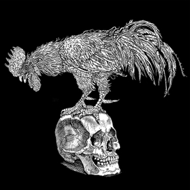 Петух и череп.