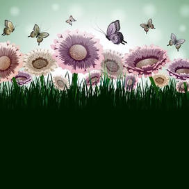 Цветы и бабочки