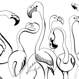 Сообщество