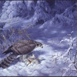 Нелёгкая добыча