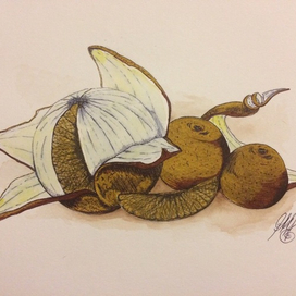 "Раскрытие"