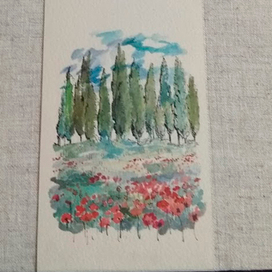 подарочный альбом