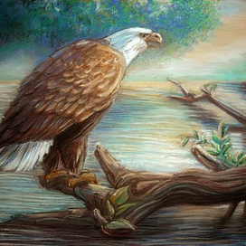 дикая природа