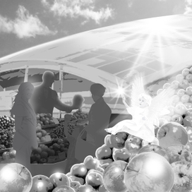 Рынок чудес