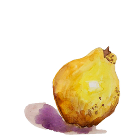 Скетч иллюстрация