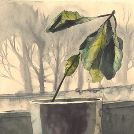 Завядший по осени