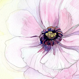 Всем весна!