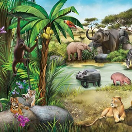 ИЛЛЮСТРАЦИИ ДЛЯ КНИГИ ПРО ЖИВОТНЫХ. Африка