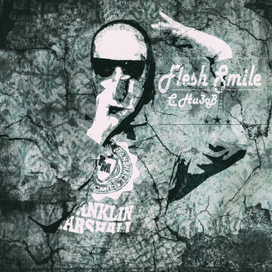 Обложка исполнителя "Flesh Smile"