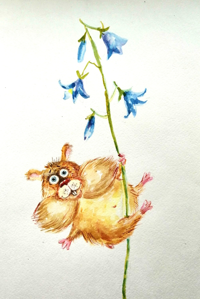 Покоритель высоты