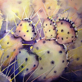 Кактусы 