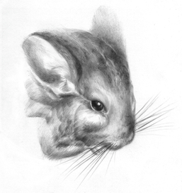 Портрет Шушика