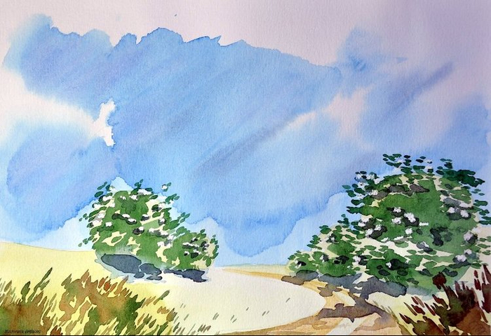 Этюд. Бузина цветет.