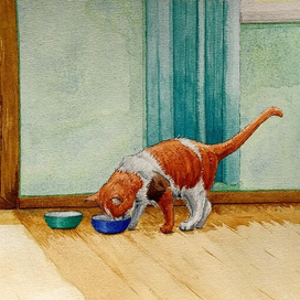 Котовья трапеза