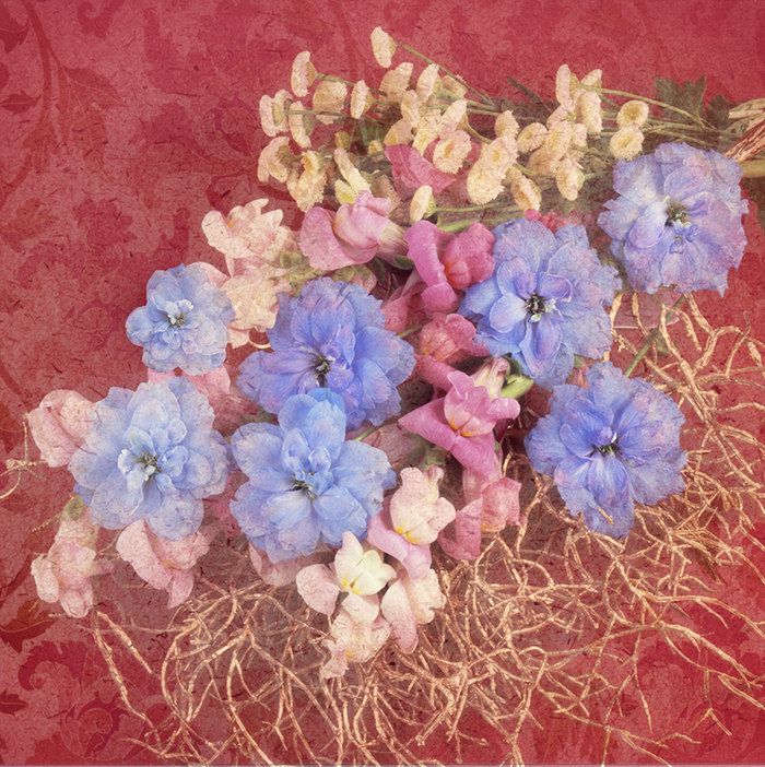 Дельфиниум