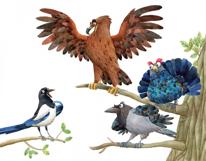 почему у сороки длинный хвост