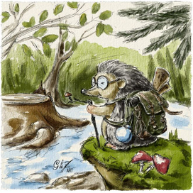 Ежик-путешественник