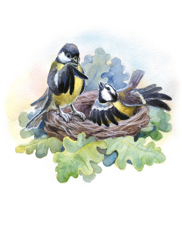 Семейный совет