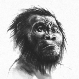 питекантроп