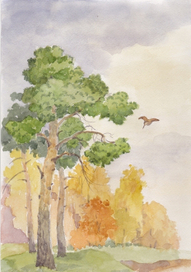 осень в лесу