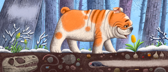 Лерой. Первый цветок