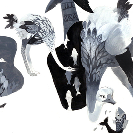 Что делал сегодня страус?