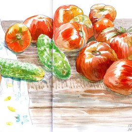 Помидоры и огурцы. Урожай