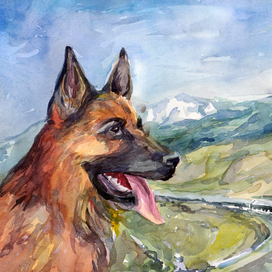 Пограничник