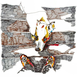 Иллюстрации 