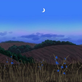 Поле вечером