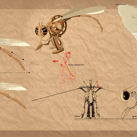 Концепт Стрекозы