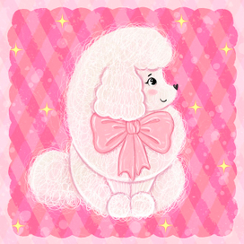 Цикрковой пудель - Зефирка