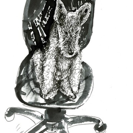 Фокстерьер