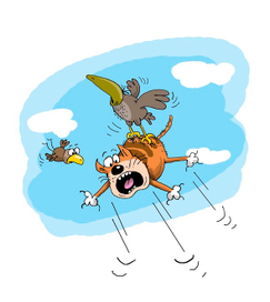 кот в полете