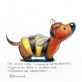 Странная логика