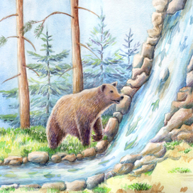 Мишка на рыбалке