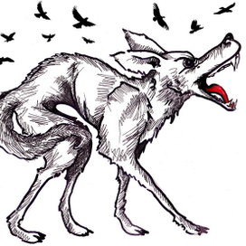 angry wolf