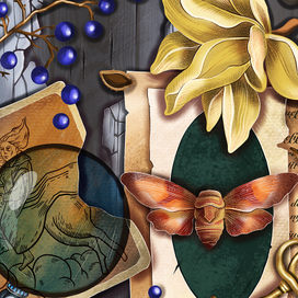 Натюрморты